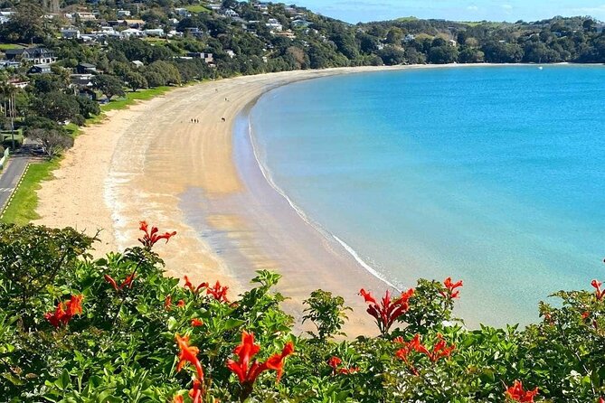1.5h Waiheke Guided Scenic Tour in our Electric Van - Electric van touring on Waiheke: less stress, more time looking