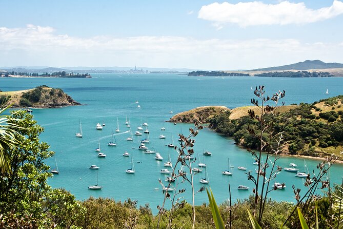 1.5h Waiheke Guided Scenic Tour in our Electric Van - Stop 2: Onetangi Beach for white-sand strolling