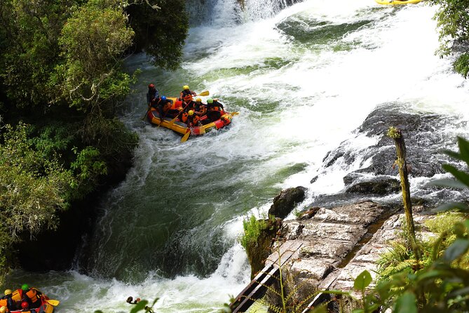 10 Day North to South Island NZ Private Tour from Auckland - Rotorua Day 3: Te Puia plus your pick of geothermal fun