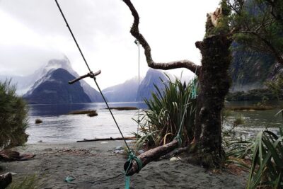 12 Day New Zealand Private Tour from Auckland to Queenstown - Price and logistics: where the value comes from (and where it doesn’t)
