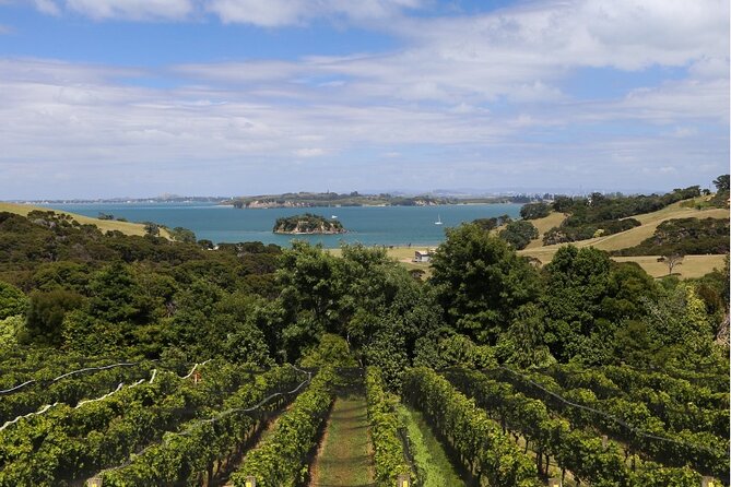 2.5 Hours Wine Tour in Waiheke Island for Cruise Ship Travelers - Meeting at Matiatia Wharf and the East-Coast View Drive
