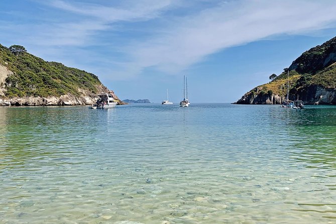 2.5 Hours Wine Tour in Waiheke Island for Cruise Ship Travelers - Where You End Up: Getting Back Without Stress