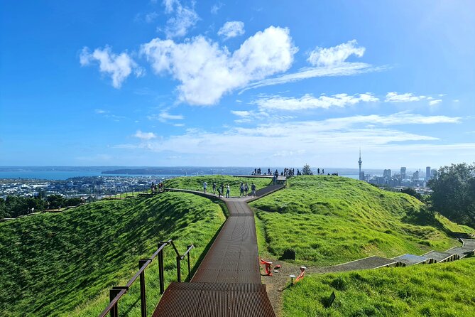 2025 Award Winning: Auckland City Highlights Half Day Tour - Why this award-winning Auckland highlights loop fits your itinerary