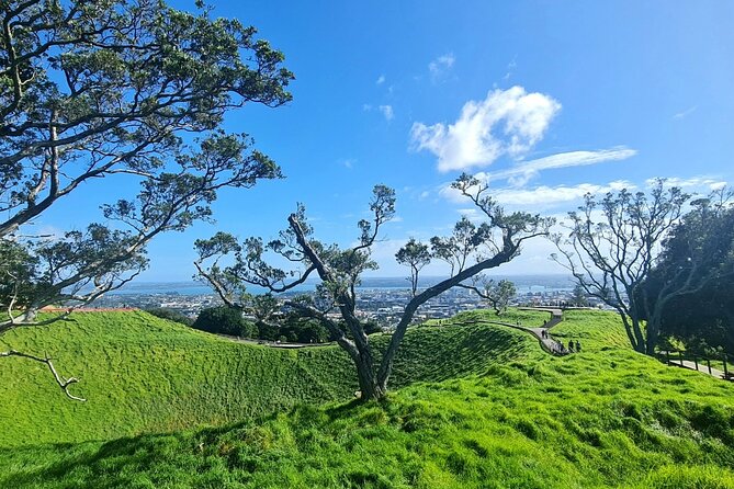 2025 Award Winning: Auckland City Highlights Half Day Tour - How the pace works in 3 to 4 hours (and what to bring)