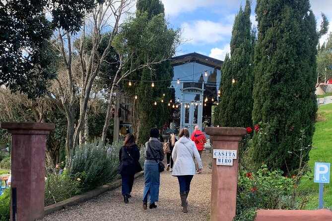 3.5 hour Sunset Tour on Waiheke Island - Guides on Waiheke: why people remember the human touch
