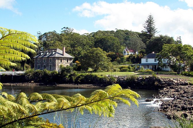 3-Day Bay of Islands Tour from Auckland - Puketi Kauri Forest: the giant-tree walk that resets your brain