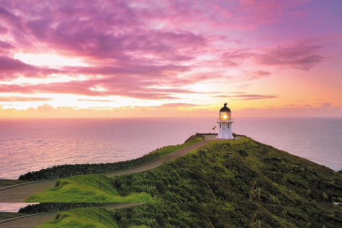 3 Day Bay Of Islands Tour from Auckland including Waitangi and Cape Reinga - Key Things I’d Pay Attention To
