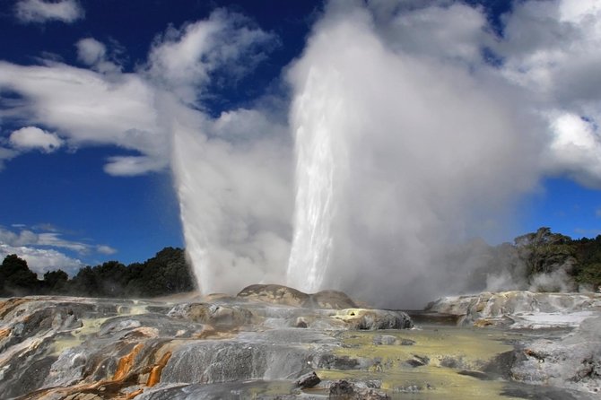 3-Day Hobbiton, Rotorua, Whakarewarewa, and Waitomo Tour - Day 2: Whakarewarewa Living Maori Village and Rotorua at Your Own Pace