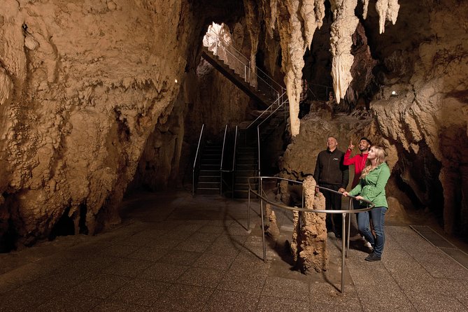 3 Day Waitomo Caves, Hobbiton Movie Set and Rotorua Tour from Auckland - Day 3: Wai-O-Tapu and Waimangu Volcanic Valley, Then Back to Auckland