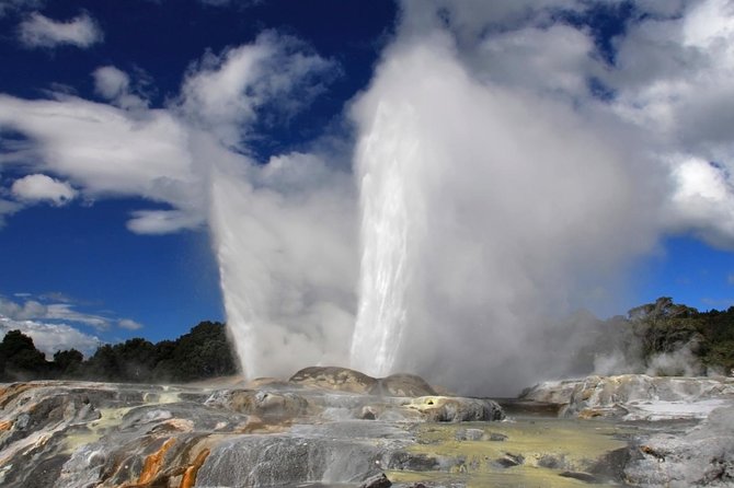 4-Day Auckland to Wellington via Rotorua Tour - Day 3 the long road: Lake Taupo, volcano country, and an intercity coach into Wellington
