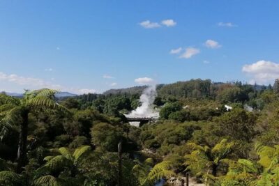 4-Day Auckland to Wellington via Rotorua Tour - Rotorua day 2: Whakarewarewa Maori culture plus thermal time on your own