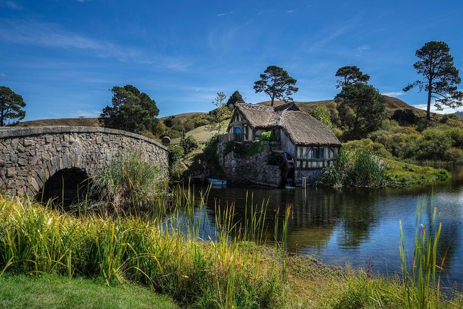 4-Day Auckland to Wellington via Rotorua Tour - How the tour runs in practice: pickup, different drivers, and max 20