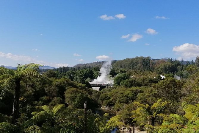 4-Day Auckland to Wellington via Rotorua Tour - Rotorua day 2: Whakarewarewa Maori culture plus thermal time on your own