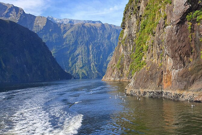 4 Day Tour to Milford Sound, Mount Cook & More from Auckland - Lake Tekapo stargazing: do this at night, not “sometime”