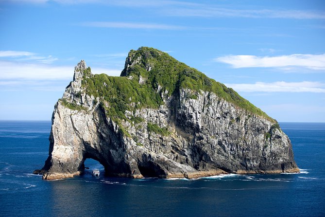 5-Day Bay of Islands, Auckland, Hobbiton, Rotorua & Waitomo Tour - Auckland city sightseeing: the practical way to get oriented