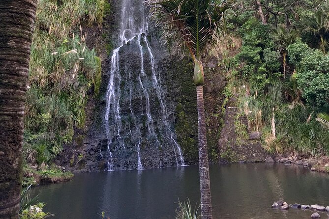 6 Hours Sightseeing Tour in Auckland - Best Fit: Who Should Book This Auckland West Coast Day