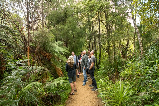 Afternoon Piha Beach and Rainforest Tour from Auckland - Afternoon tea: manuka honey and the warm reset