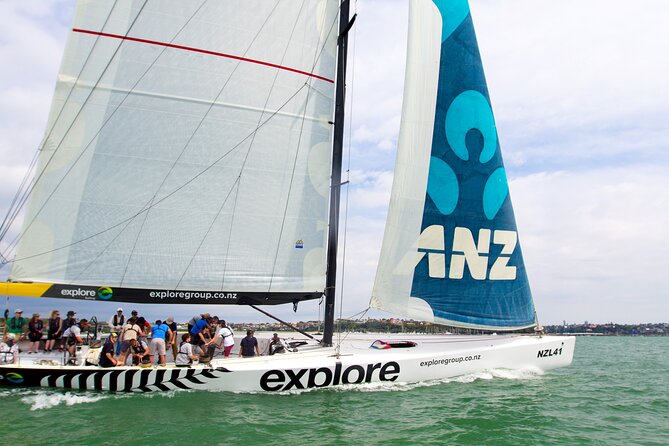 America's Cup Sailing on Auckland's Waitemata Harbour - Key Things You’ll Notice Right Away