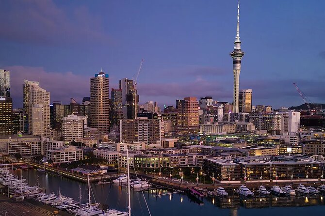 Auckland Airport Private Transfer - Value check: what $68 buys you (and when it is worth it)