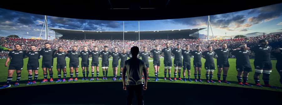 Auckland: All Blacks Experience Guided Cultural Tour - The haka moment in the player tunnel (this is the headline)