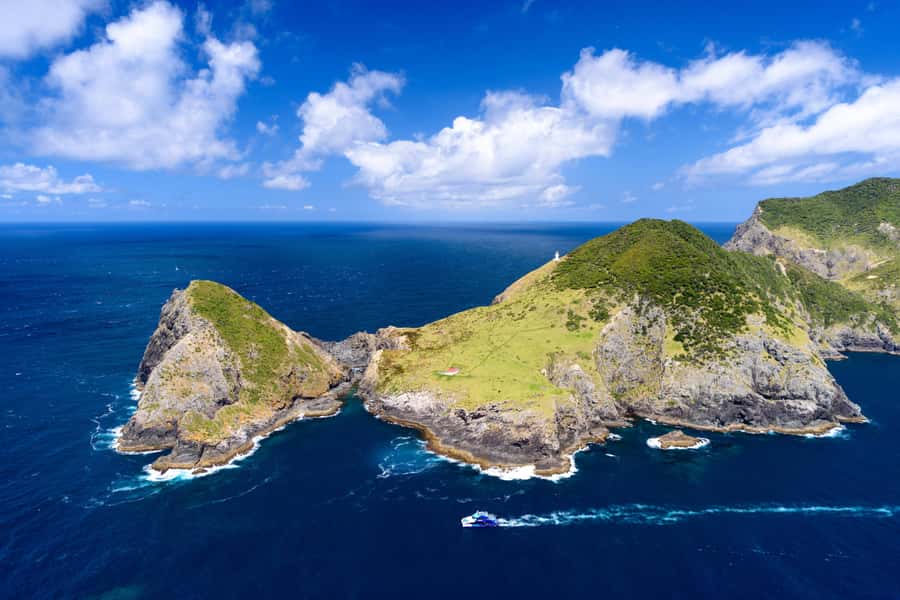 Auckland: Bay of Islands Day Tour with Dolphin Cruise - Price and value: is $283 really paying for the right things?