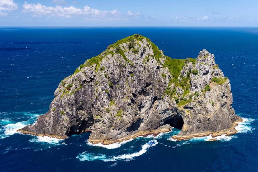 Auckland: Bay of Islands Day Tour with Dolphin Cruise - Should you book it?