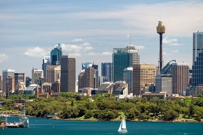 Auckland Best Street Food Tour With A Local Guide - Stop 4: Sky Tower for panoramic views (and the glass-bottom thrill)