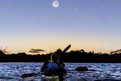 Auckland Bioluminescence Kayak Tour - Safety and comfort: life jacket time, calm pacing, and small-group control