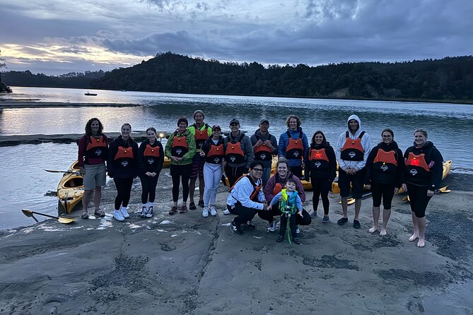 Auckland Bioluminescence Kayak Tour - Group size and vibe: what kind of experience this is