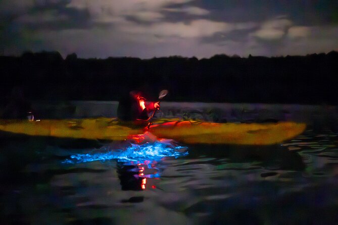 Auckland Bioluminescence Kayak Tour - Weather and timing: when the tour works best