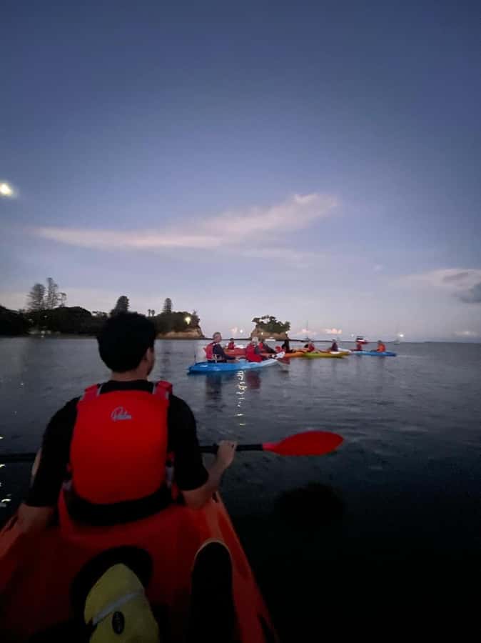 Auckland: Bioluminescence Kayak Tour with Guide - Group Size, Guide Support, and Safety Gear