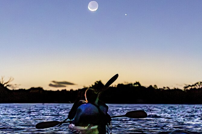 Auckland Bioluminescence Kayak Tour - Safety and comfort: life jacket time, calm pacing, and small-group control