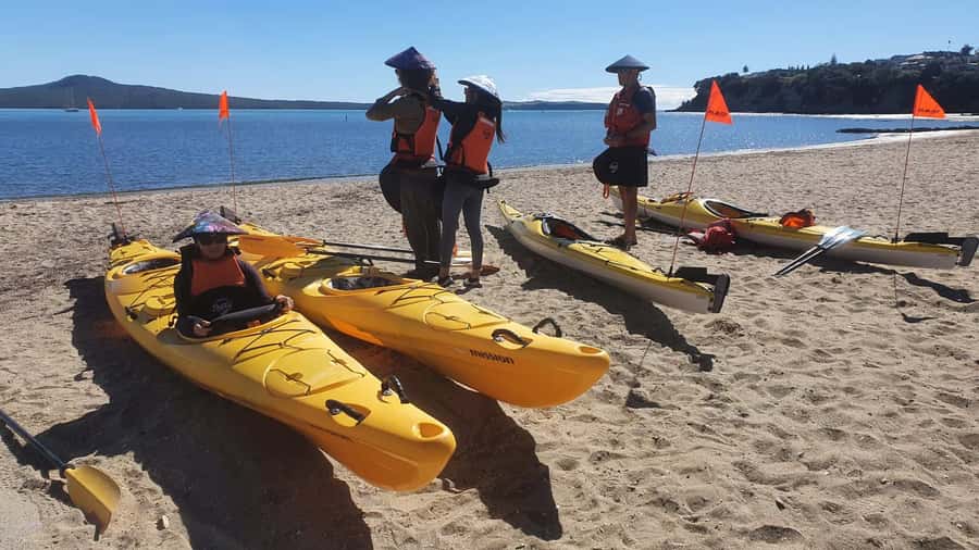 Auckland: Browns Island (Motukorea) Sea Kayak Tour - Who this tour fits best