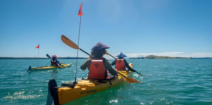 Auckland: Browns Island (Motukorea) Sea Kayak Tour - Your paddle route: turquoise water, harbor views, and the wildlife lottery