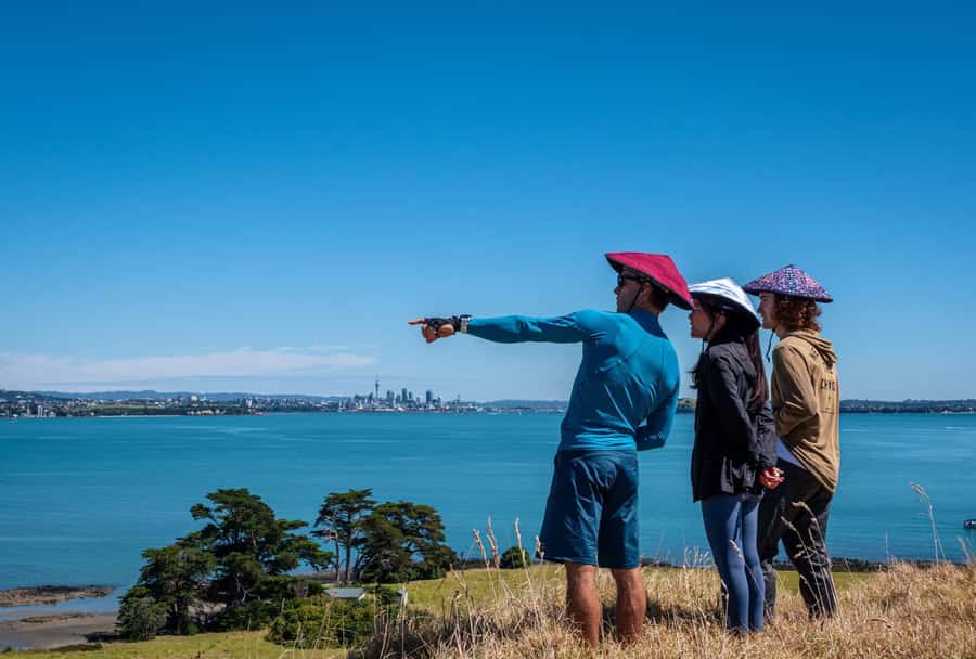 Auckland: Browns Island (Motukorea) Sea Kayak Tour - The guide makes it: safe paddling plus answers on demand