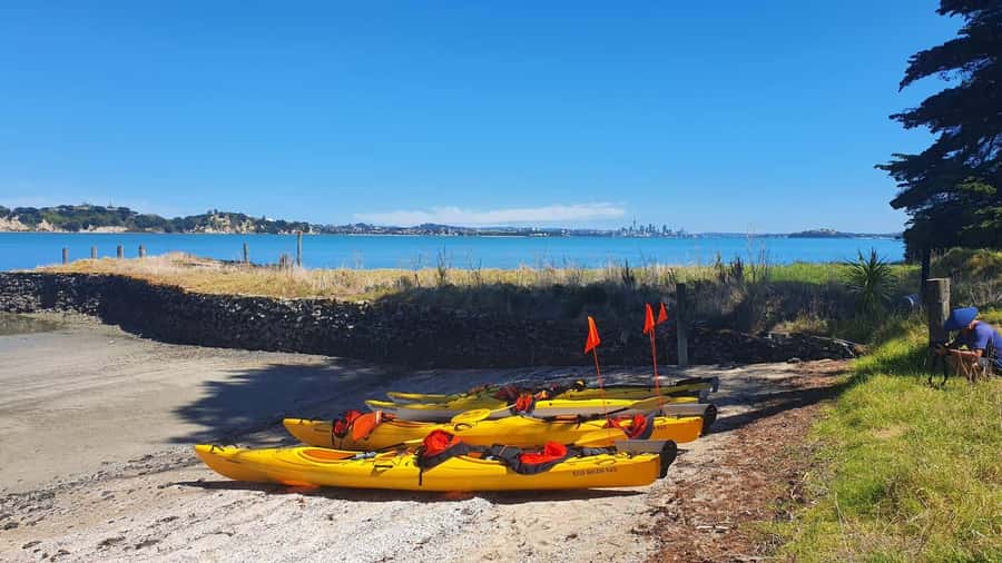 Auckland: Browns Island (Motukorea) Sea Kayak Tour - What to bring (and what to leave at home)
