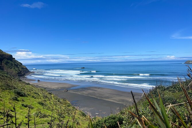 Auckland City and West Coast Black Sand Beach Full Day Tour - Key points to know before you go
