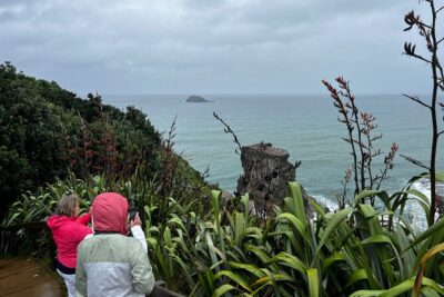 Auckland City and West Coast Black Sand Beach Full Day Tour - Price and value: $732.28 per group for a full west-coast day