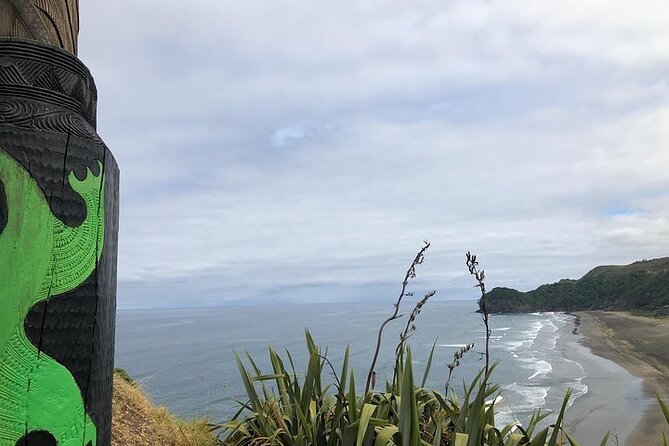 Auckland City and West Coast Black Sand Beach Full Day Tour - Muriwai: gannets first, then a walk on the black sand
