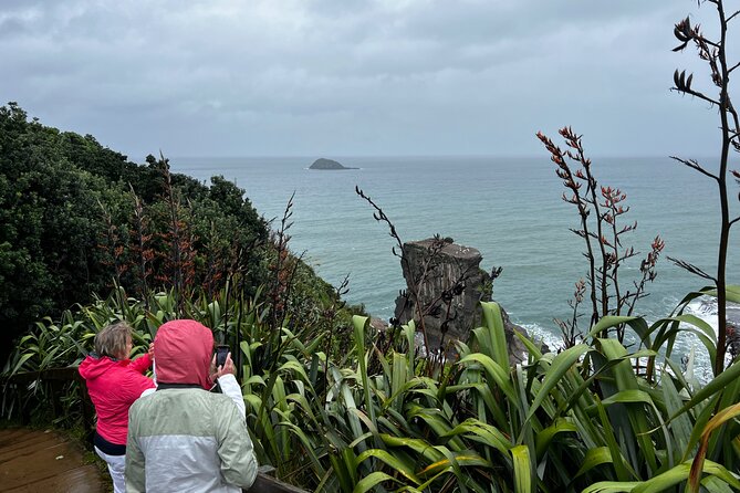 Auckland City and West Coast Black Sand Beach Full Day Tour - Price and value: $732.28 per group for a full west-coast day
