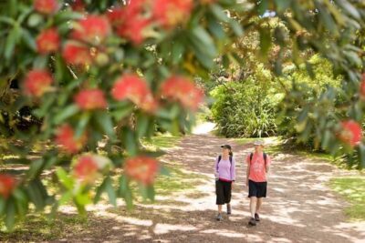 Auckland City and West Coast Luxury Tour - Auckland Domain to Parnell: the city’s “old Auckland” feeling