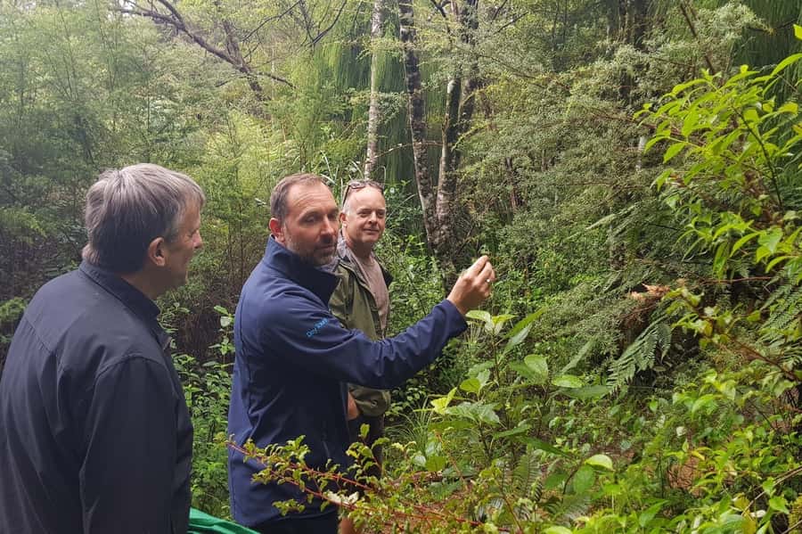 Auckland City, Beaches & Rainforest Premium Small Group Tour - Transport, Group Size, and Comfort: What You Should Plan For
