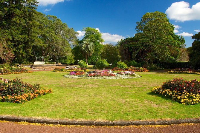 Auckland City Discovery Experience - Private Tour From Auckland - Bastion Point: skyline photos with a clear reason to stop