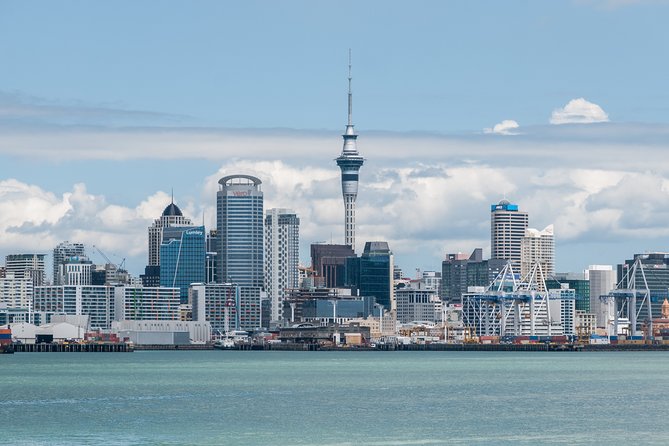 Auckland City Discovery Experience - Private Tour From Auckland - How the private minibus setup changes your day