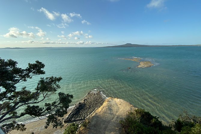 Auckland City Discovery Experience - Private Tour From Auckland - Auckland Central to Curran Street: Harbour Bridge views without the guessing