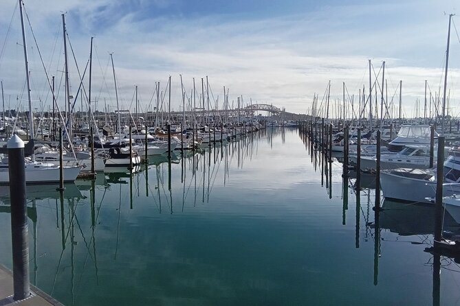 Auckland City Halfday Guide Tour - Entering Auckland’s “Two Worlds” in 3.5 Hours