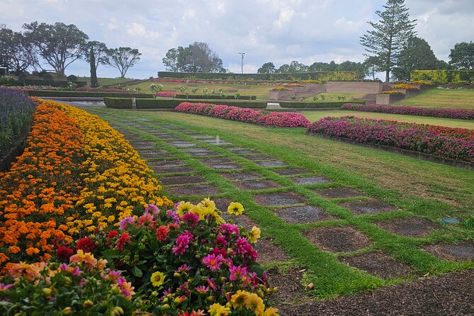 Auckland City Halfday Guide Tour - Stop 3: Mount Eden (Maungawhau) for the City’s Volcano View