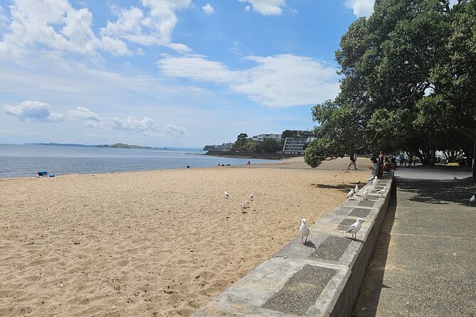 Auckland City Halfday Guide Tour - Stop 4: Mission Bay for Soft Sand, Lawns, and a Beach Reset