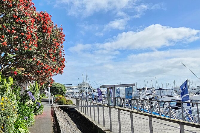 Auckland City Halfday Guide Tour - Stop 1: Westhaven Marina for Skyline Photos and Boat-Watching Calm