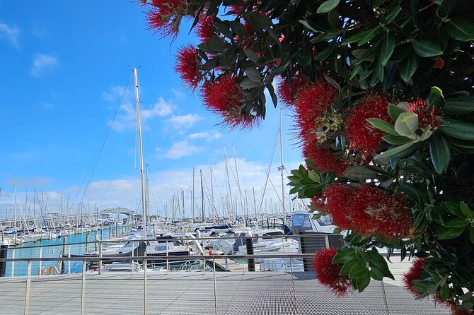 Auckland City Halfday Private Tour - Price and what $130.32 per person buys you